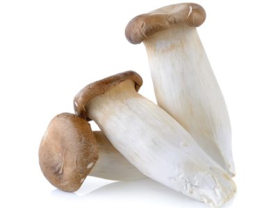 Antioxidant, antitumor and immunostimulatory activities of the polypeptide from Pleurotus eryngii mushroom