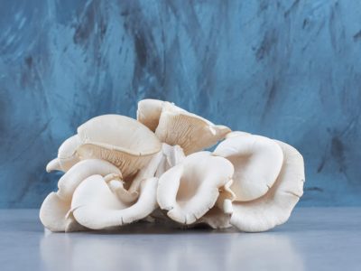 Investigation of lovastatin from three Oyster Mushroom species