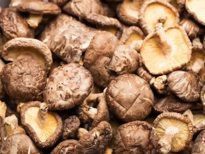 Efficacy of Shiitake Extract for Patients Undergoing Cancer Chemotherapy