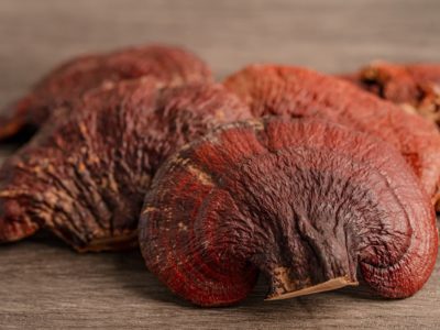 Toxicity of Reishi mushroom in children with cancer